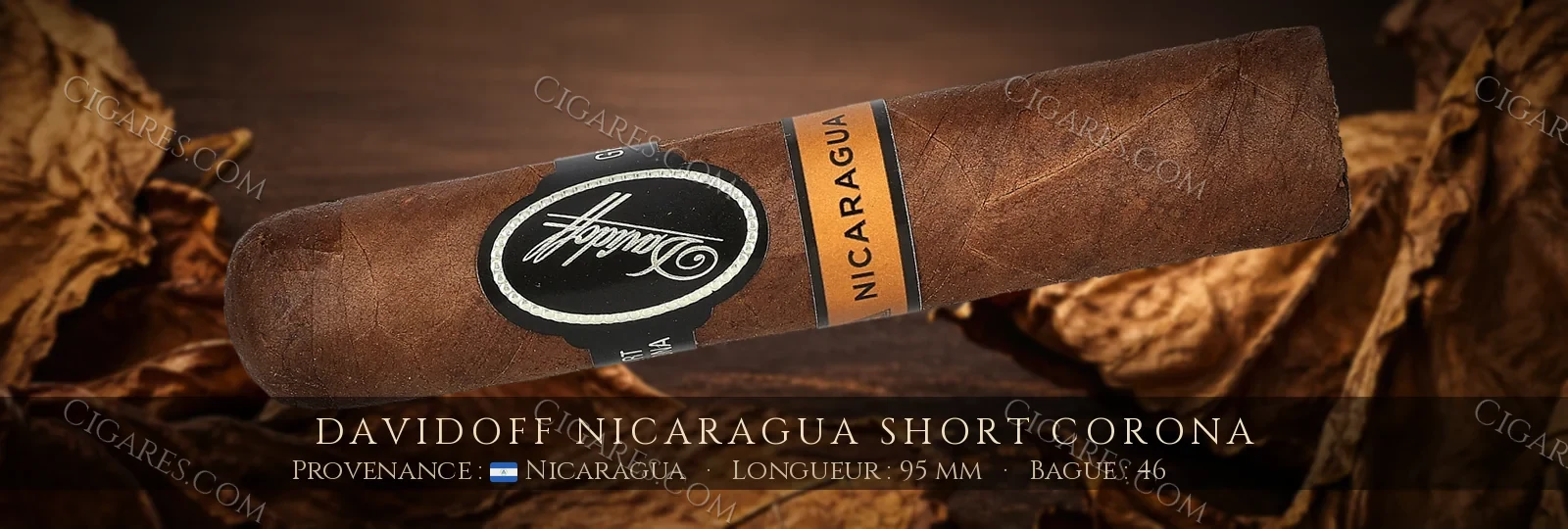 Davidoff Nicaragua Short Corona — Davidoff — Nicaragua