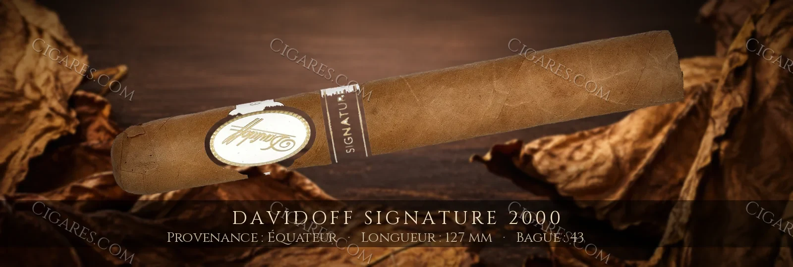 Davidoff Signature 2000 — Davidoff — République Dominicaine