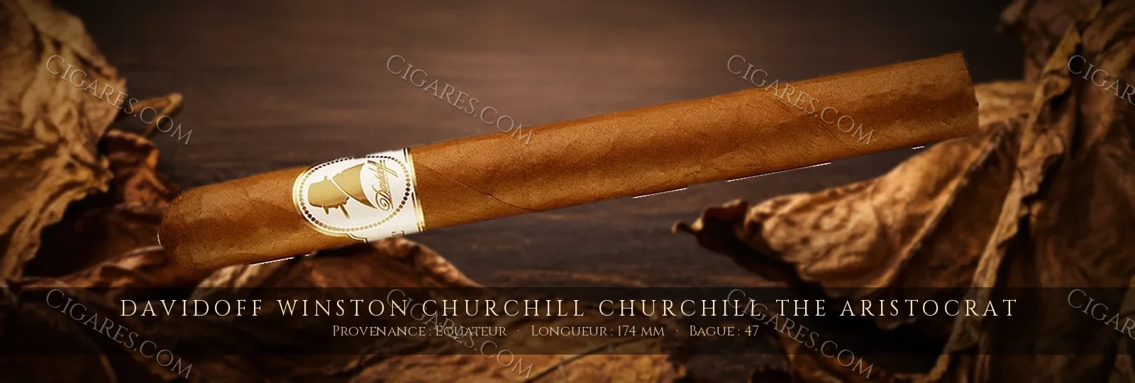 Davidoff Winston Churchill Churchill The Aristocrat — Davidoff — République Dominicaine