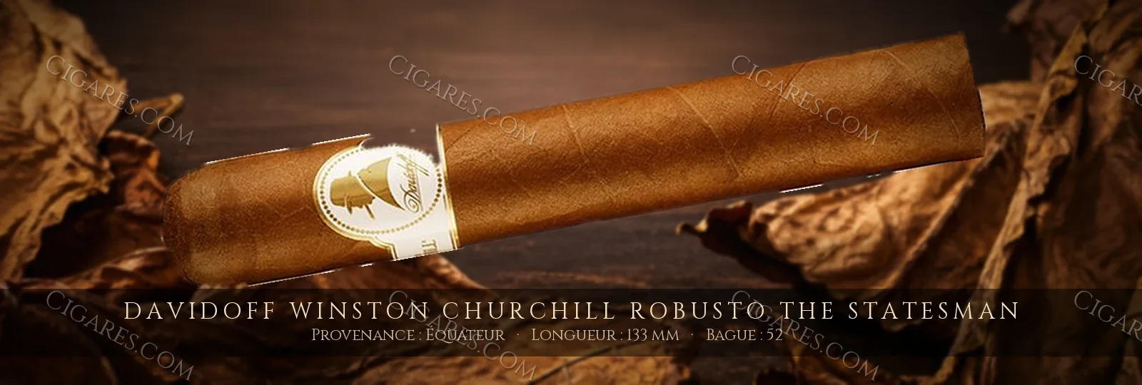Davidoff Winston Churchill Robusto The Statesman — Davidoff — République Dominicaine