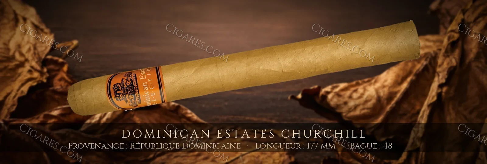 Dominican Estates Churchill — Dominican Estates — République Dominicaine