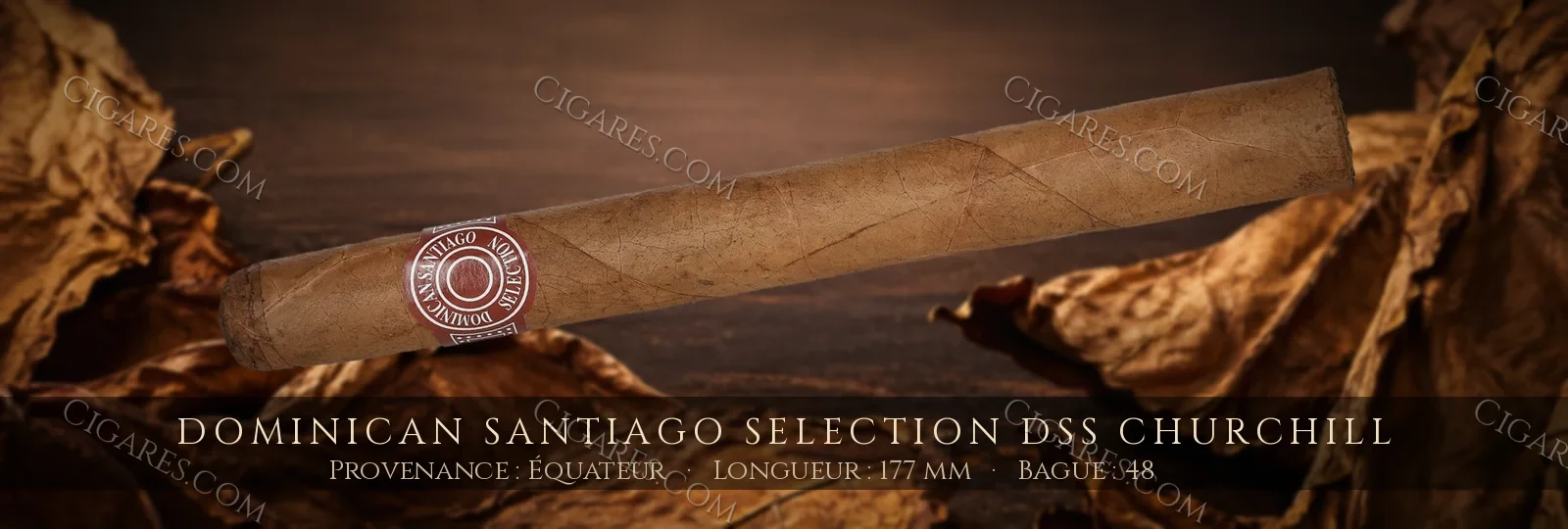 Dominican Santiago Selection DSS Churchill — Dominican Santiago Selection — République Dominicaine