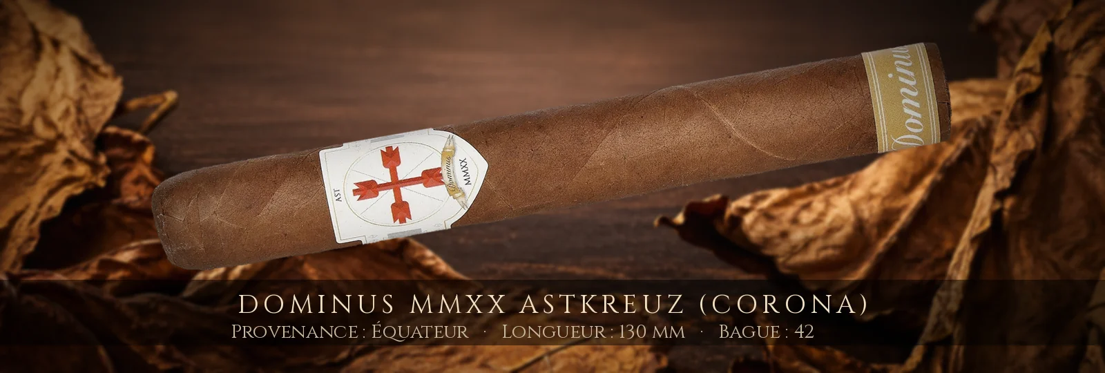 Dominus MMXX Astkreuz (Corona) — Dominus — Équateur
