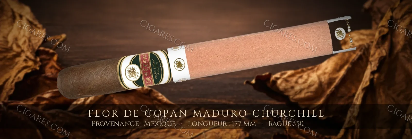 Flor de Copan Maduro Churchill — Flor de Copan — Mexique