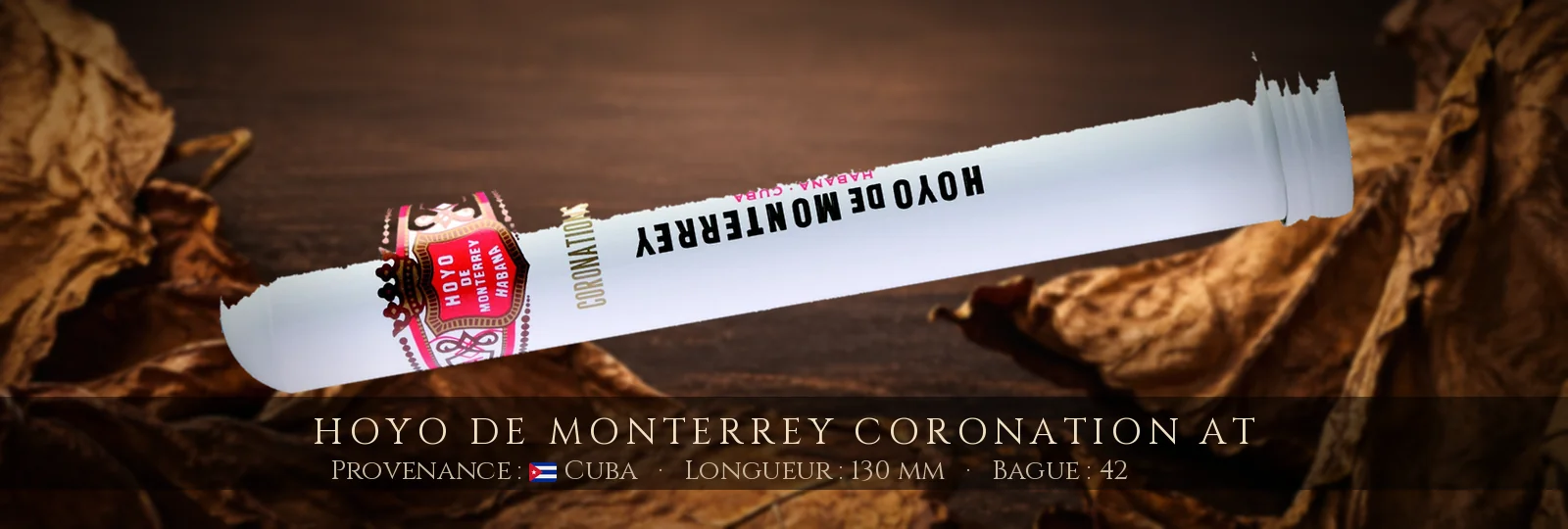 Hoyo de Monterrey Coronation AT — Hoyo de Monterrey — Cuba