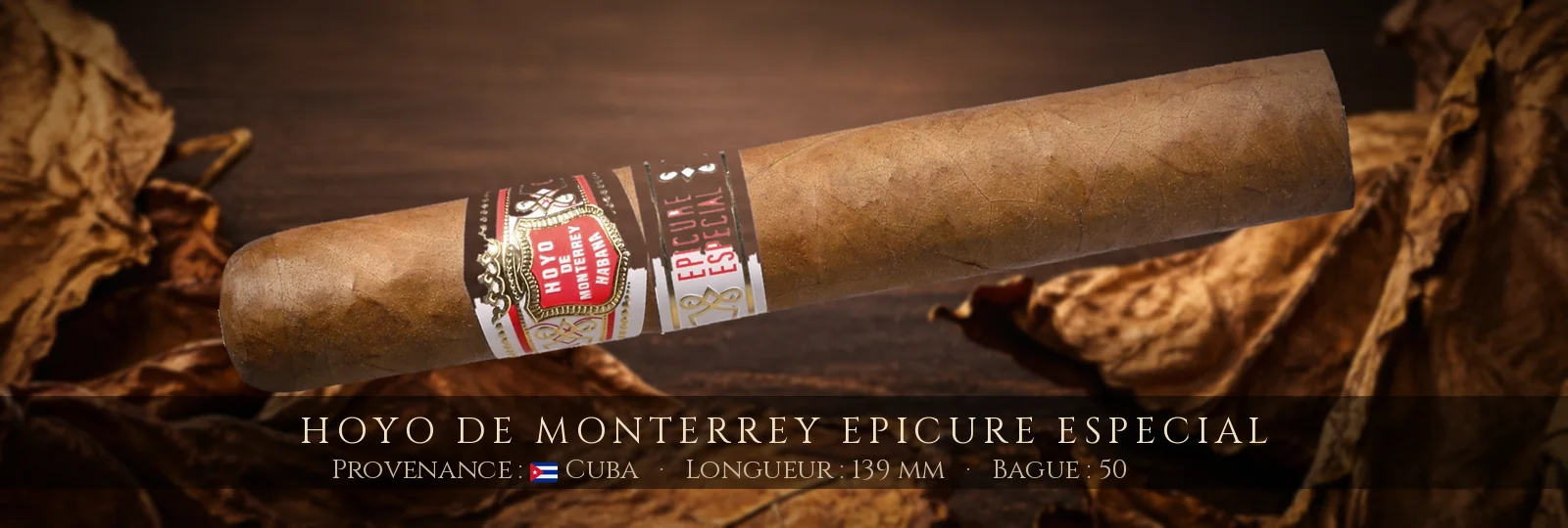 Hoyo de Monterrey Epicure Especial
