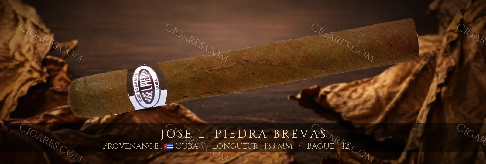 Jose L. Piedra Brevas — Jose L. Piedra — Cuba