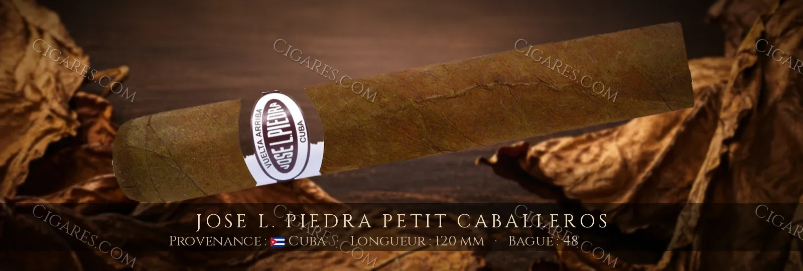 Jose L. Piedra Petit Caballeros — Jose L. Piedra — Cuba