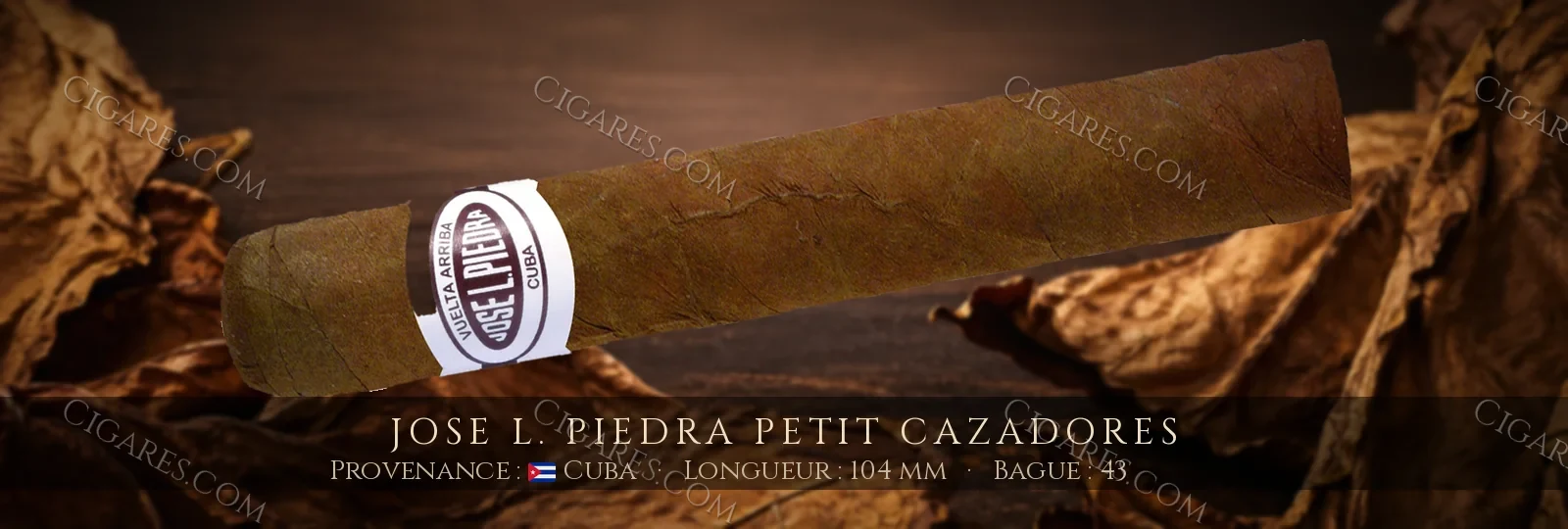 Jose L. Piedra Petit Cazadores — Jose L. Piedra — Cuba