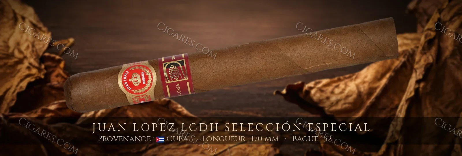 Juan Lopez LCDH Selección Especial — Juan Lopez — Cuba