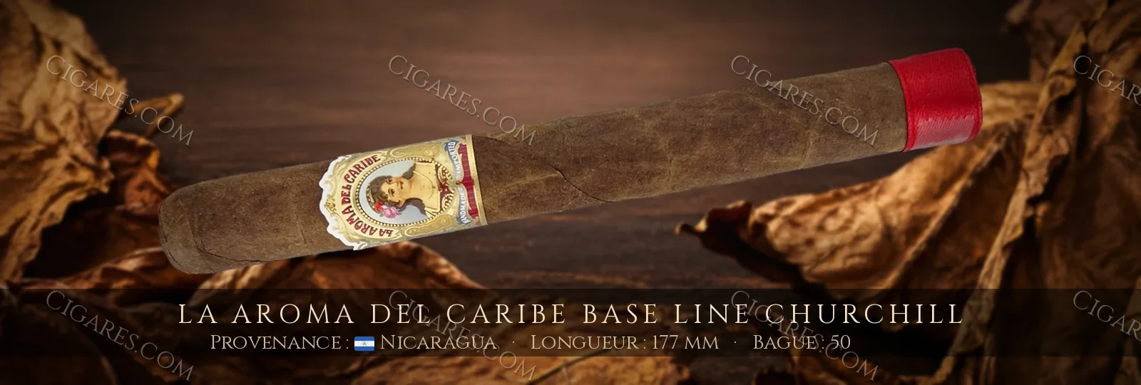 La Aroma del Caribe Base Line Churchill — La Aroma del Caribe — Nicaragua