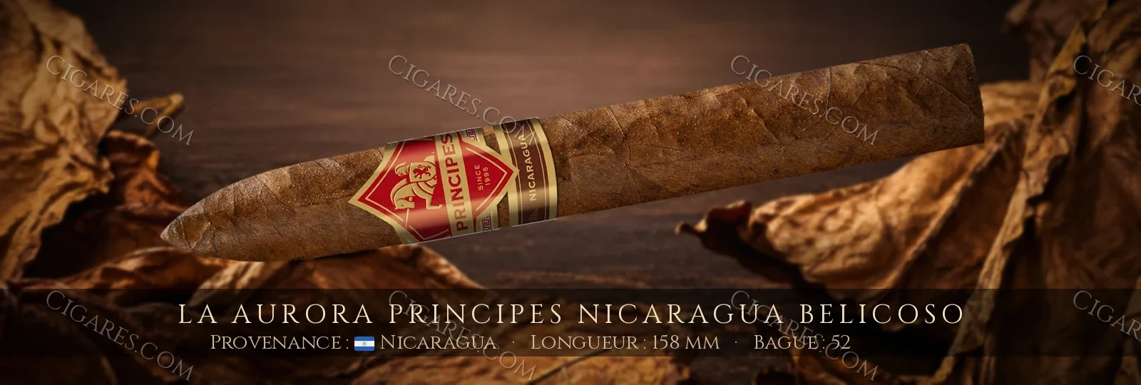 La Aurora Principes Nicaragua Belicoso — La Aurora — Nicaragua