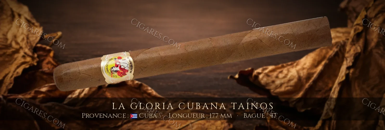 La Gloria Cubana Tainos — La Gloria Cubana — Cuba
