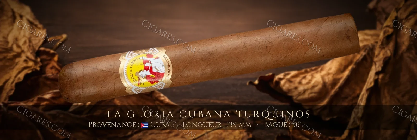 La Gloria Cubana Turquinos — La Gloria Cubana — Cuba