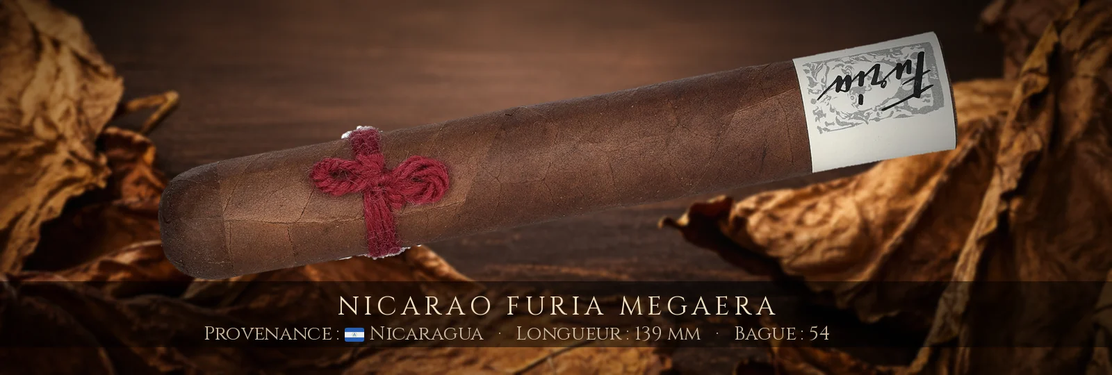 Nicarao Furia Megaera
