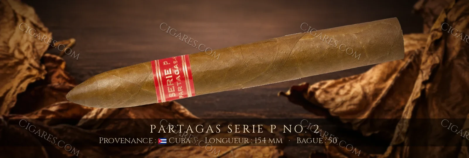 Partagas Serie P No. 2