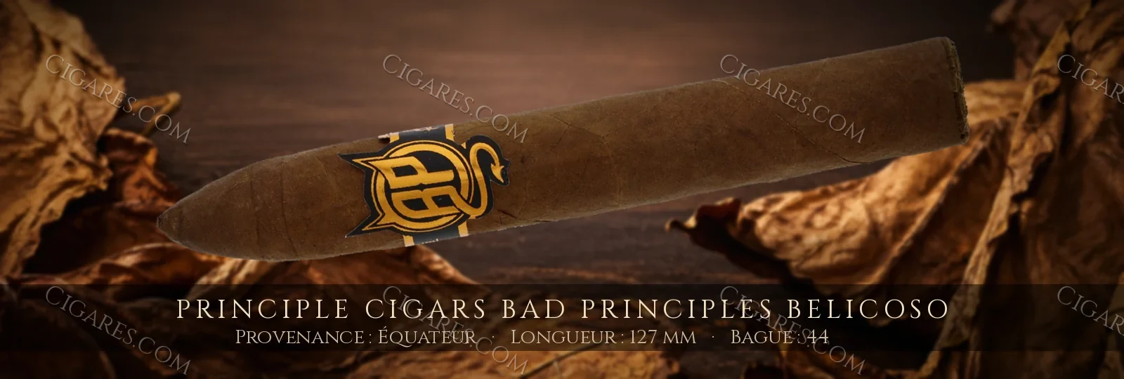 Principle Cigars Bad Principles Belicoso — Principle Cigars — République Dominicaine