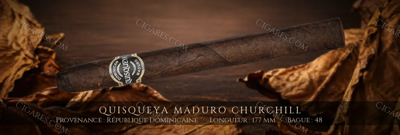 Quisqueya Maduro Churchill — Quisqueya — République Dominicaine