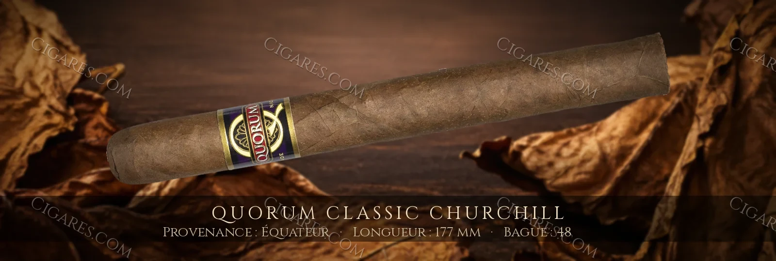Quorum Classic Churchill — Quorum — Nicaragua