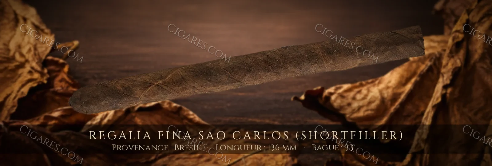 Regalia Fina Sao Carlos (Shortfiller) — Regalia Fina — Brésil