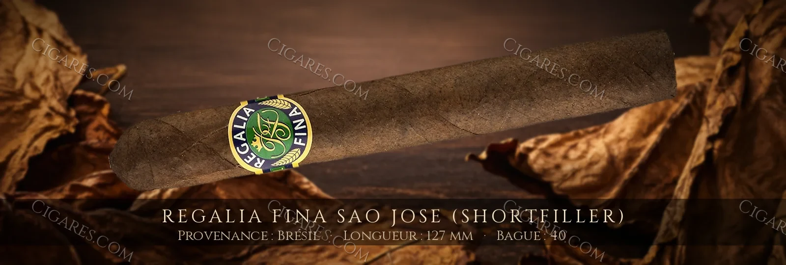 Regalia Fina Sao Jose (Shortfiller) — Regalia Fina — Brésil