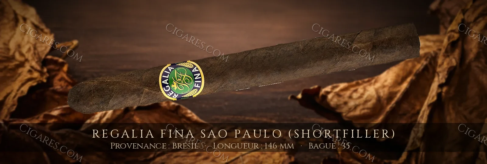 Regalia Fina Sao Paulo (Shortfiller) — Regalia Fina — Brésil