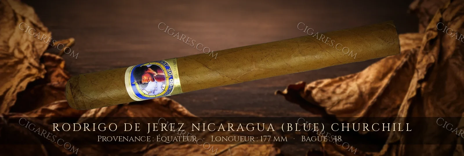 Rodrigo de Jerez Nicaragua (Blue) Churchill — Rodrigo de Jerez — Honduras