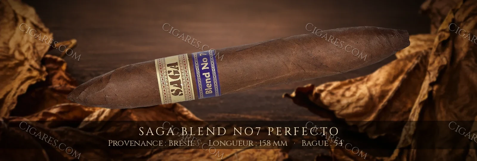 Saga Blend No7 Perfecto — Saga — Brésil