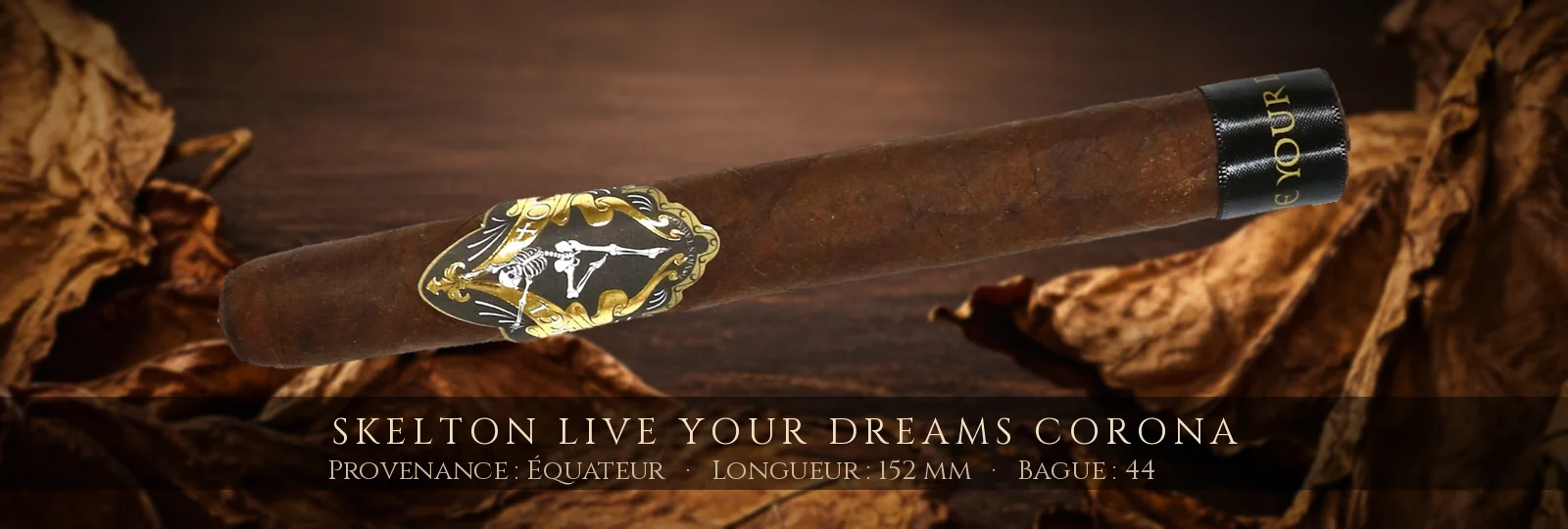 Skelton Live Your Dreams Corona — Skelton — Équateur