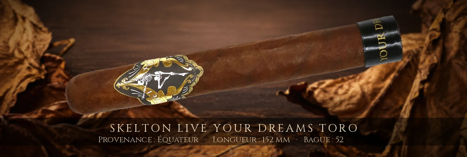 Skelton Live Your Dreams Toro — Skelton — Équateur