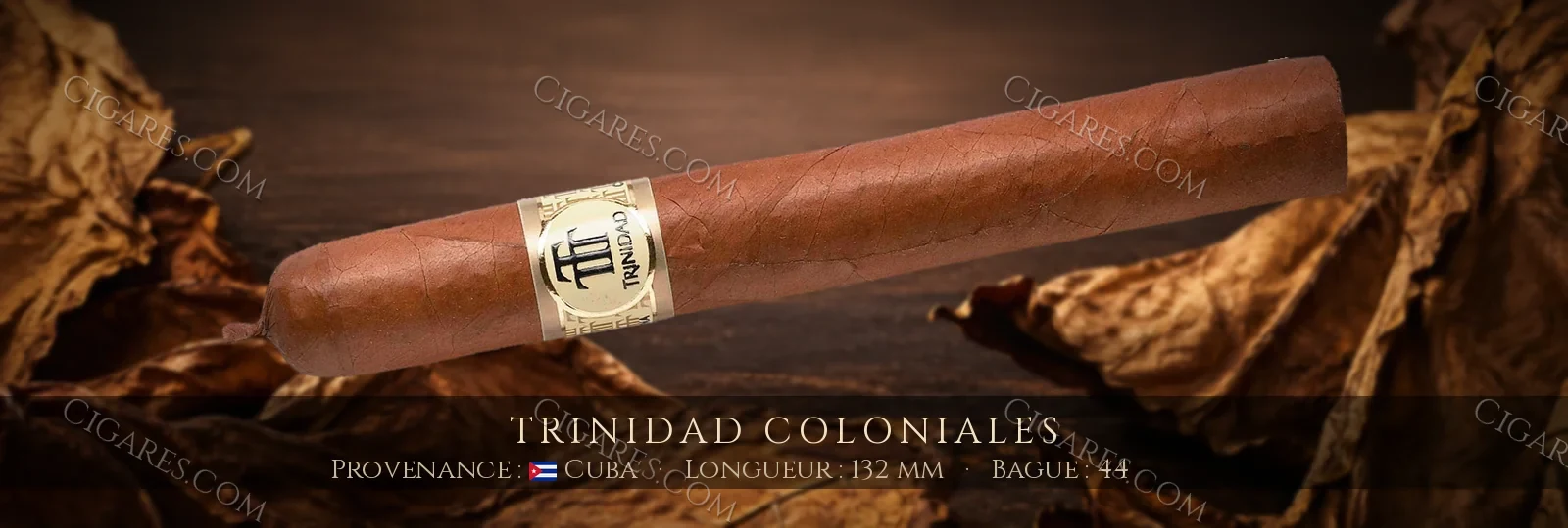Trinidad Coloniales — Trinidad — Cuba