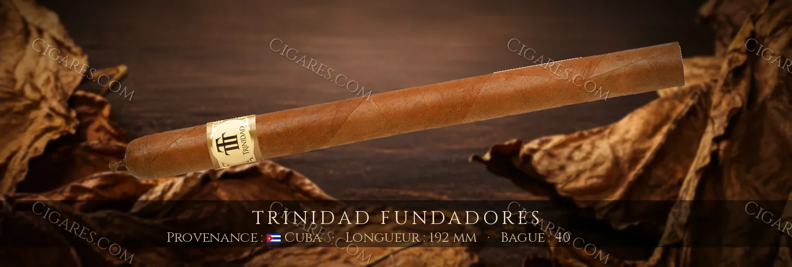 Trinidad Fundadores — Trinidad — Cuba