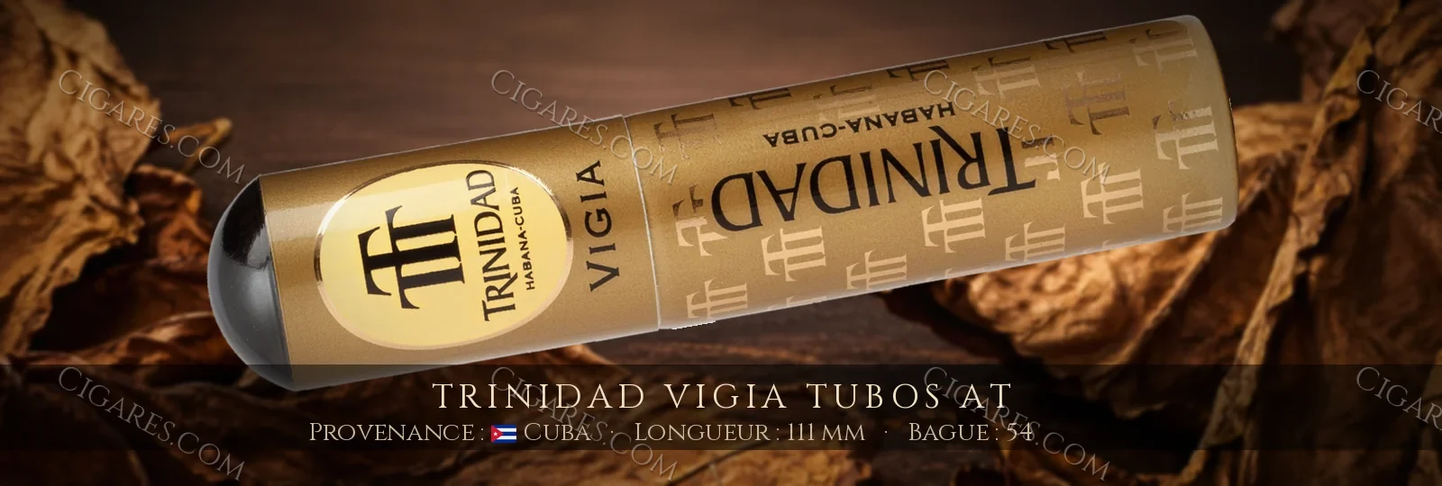 Trinidad Vigia Tubos AT — Trinidad — Cuba