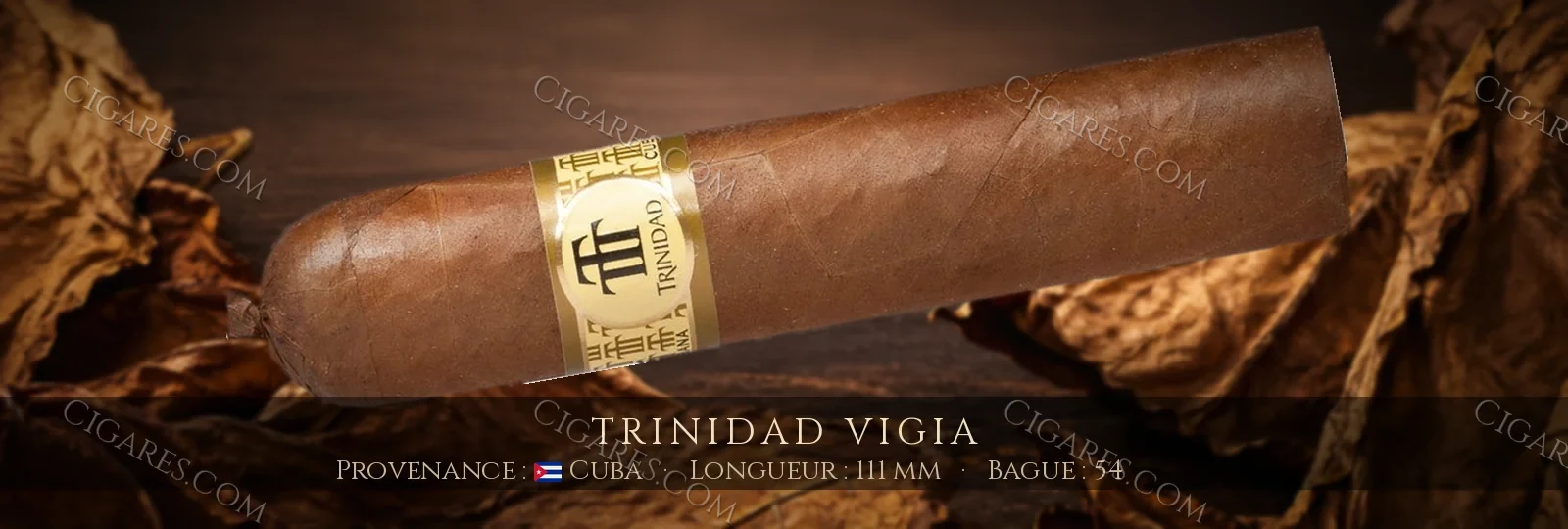 Trinidad Vigia — Trinidad — Cuba