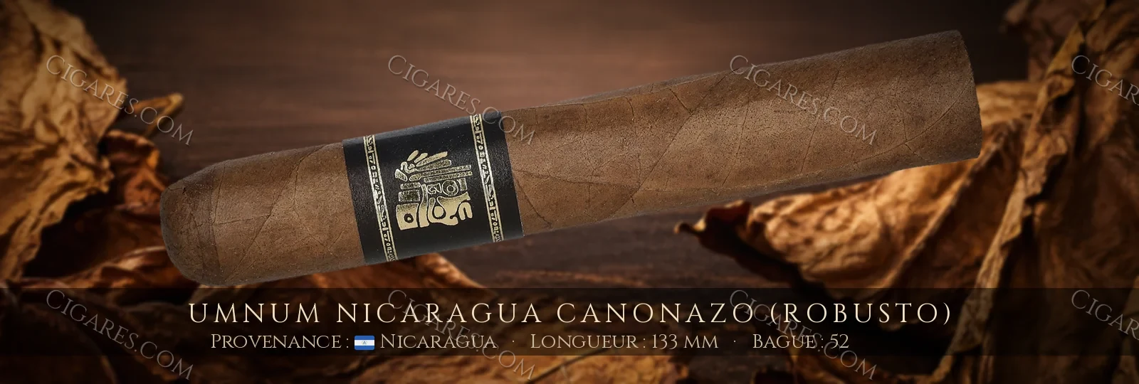 Umnum Nicaragua Canonazo (Robusto) — Umnum — Nicaragua