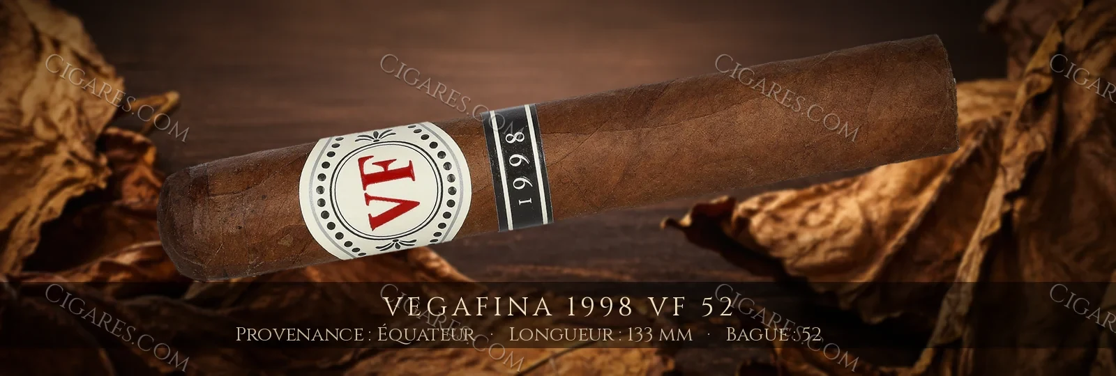 VegaFina 1998 VF 52