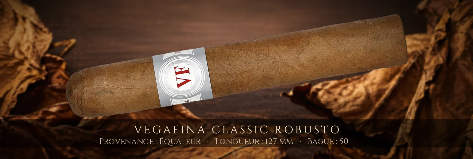 VegaFina Classic Robusto