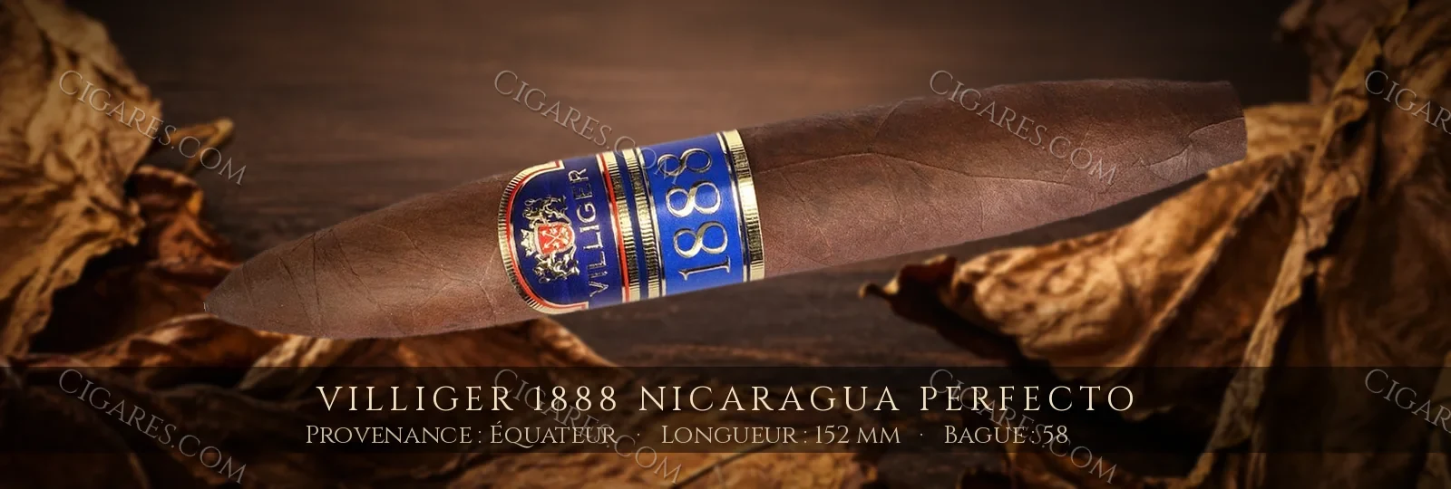 Villiger 1888 Nicaragua Perfecto — Villiger — Équateur