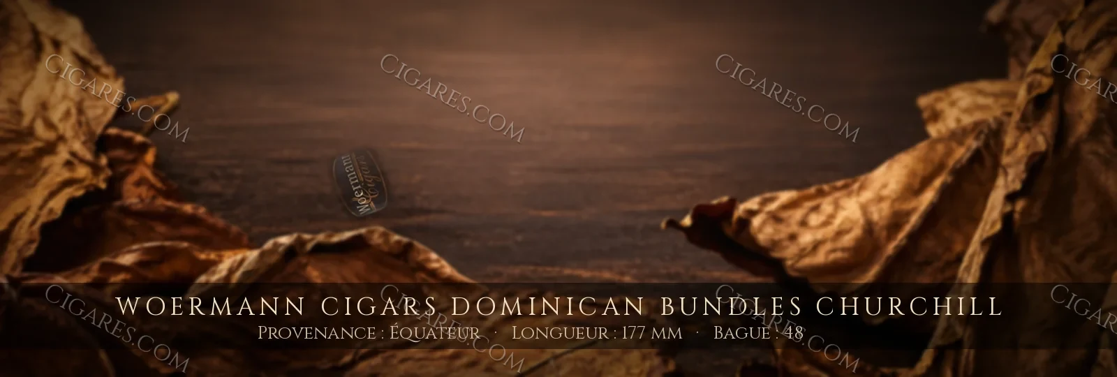 Woermann Cigars Dominican Bundles Churchill — Woermann Cigars — République Dominicaine