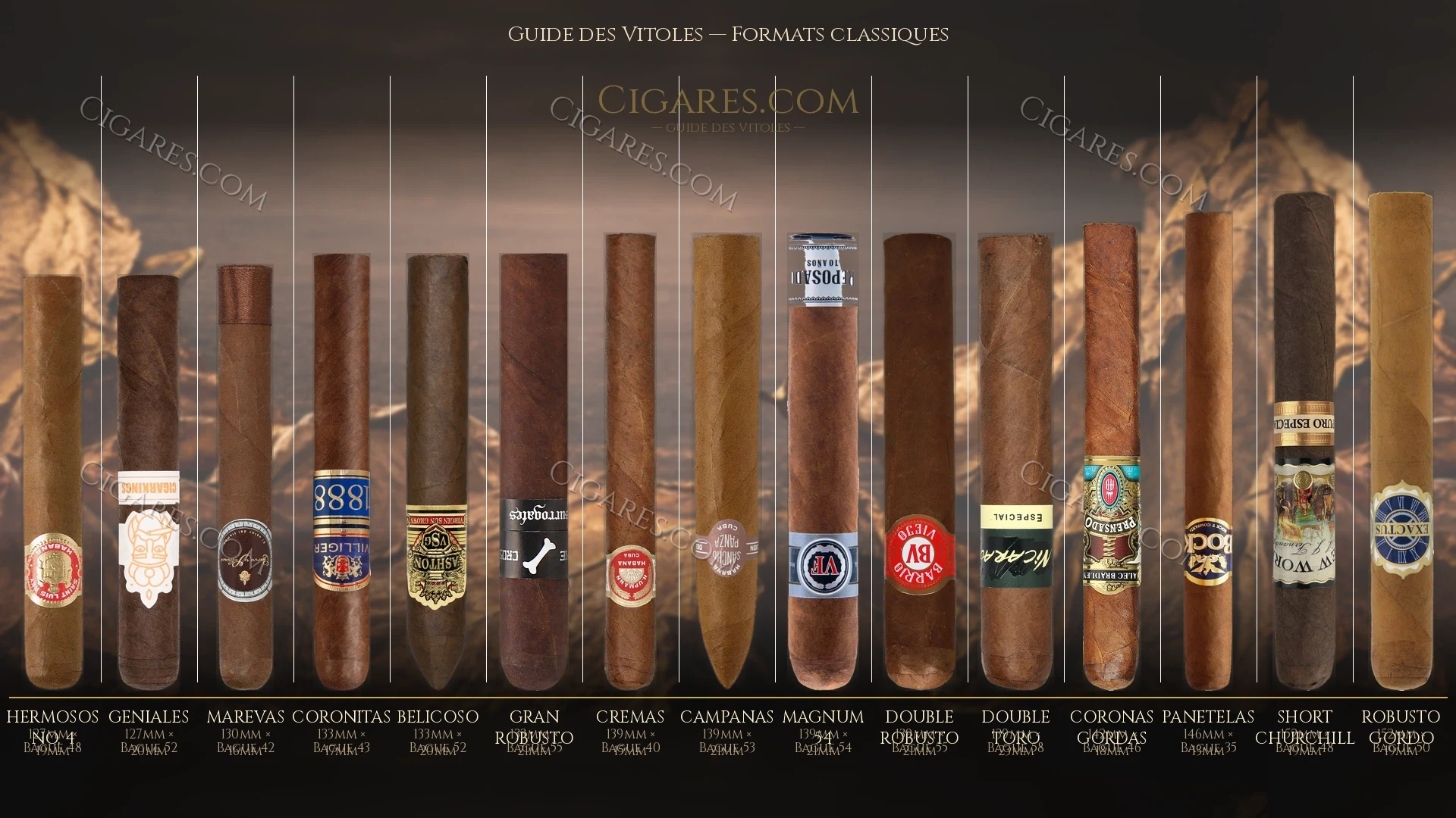 Guide des formats de cigares — formats classiques : Robusto, Toro, Churchill, Lonsdale