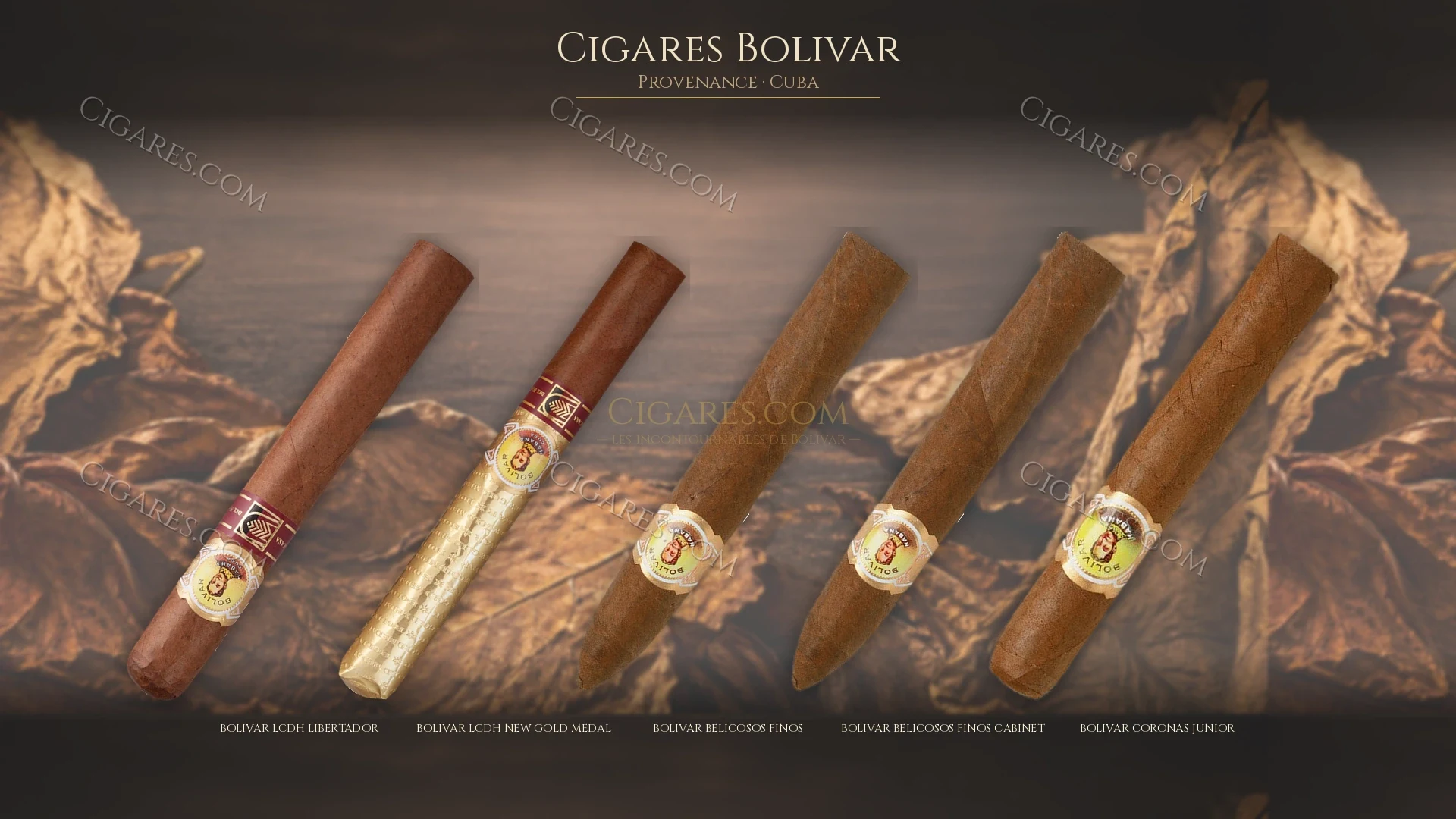 Top cigares Bolivar Cuba — les plus populaires