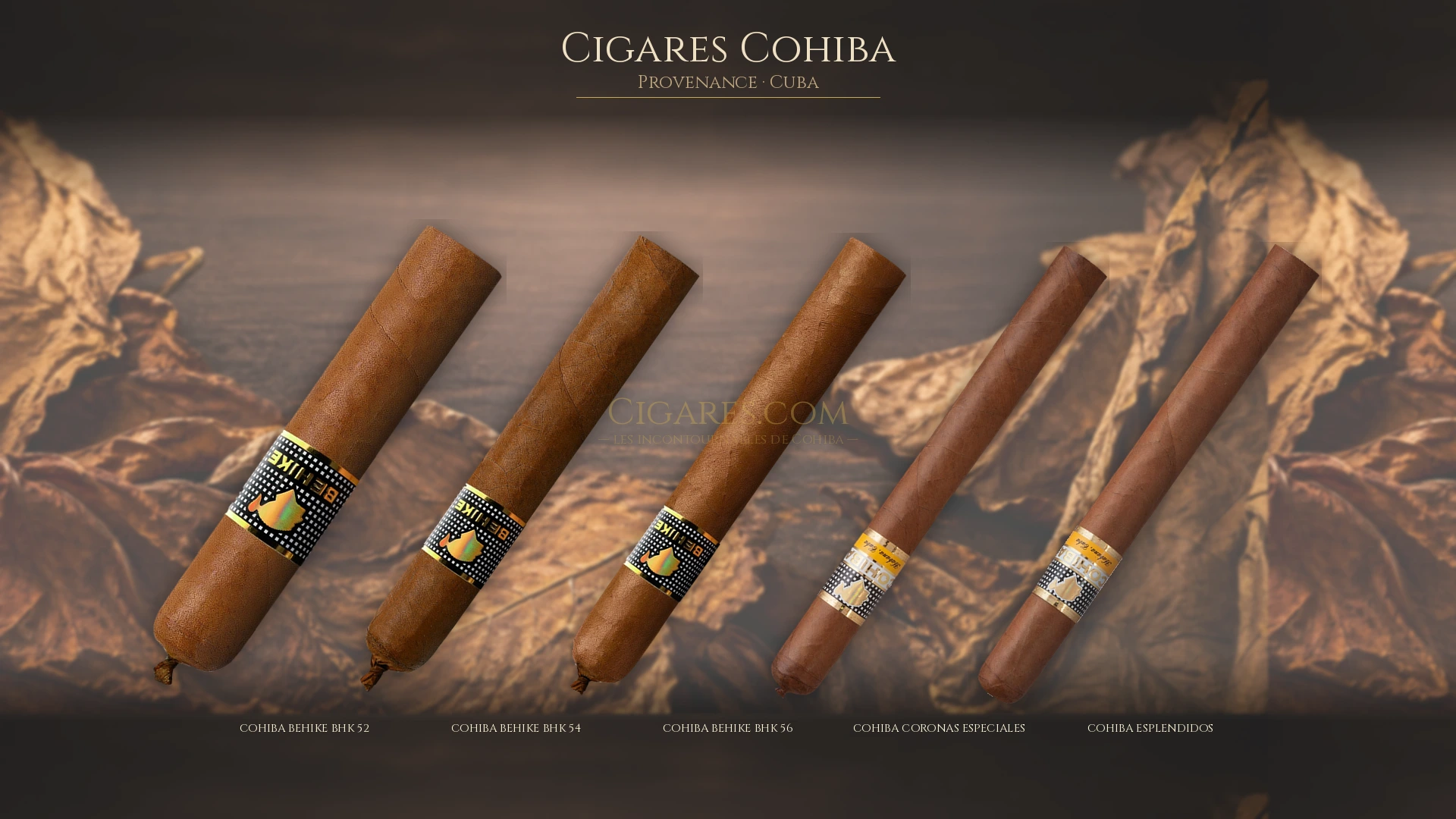 Top cigares Cohiba Cuba — les plus populaires