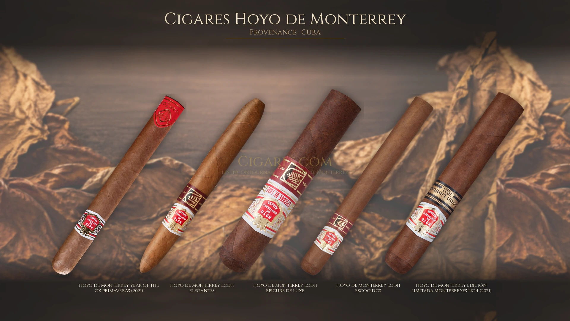 Top cigares Hoyo de Monterrey Cuba — les plus populaires