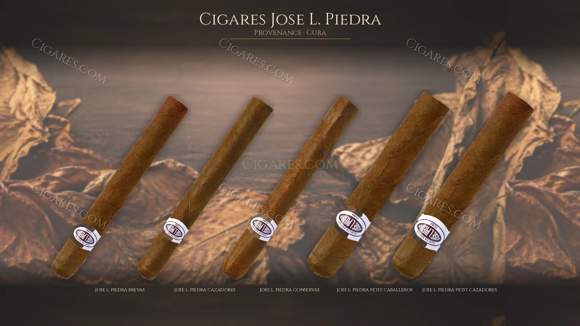 Top cigares Jose L. Piedra Cuba — les plus populaires
