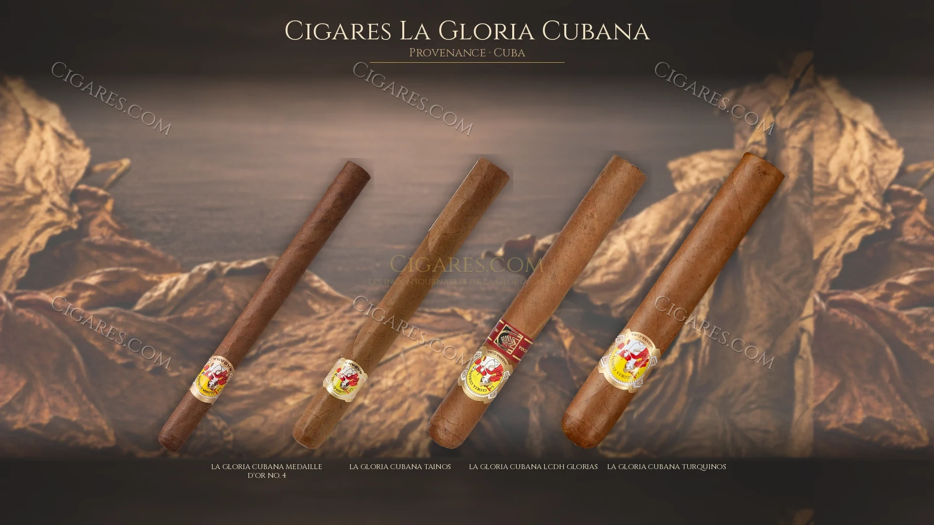 Top cigares La Gloria Cubana Cuba — les plus populaires