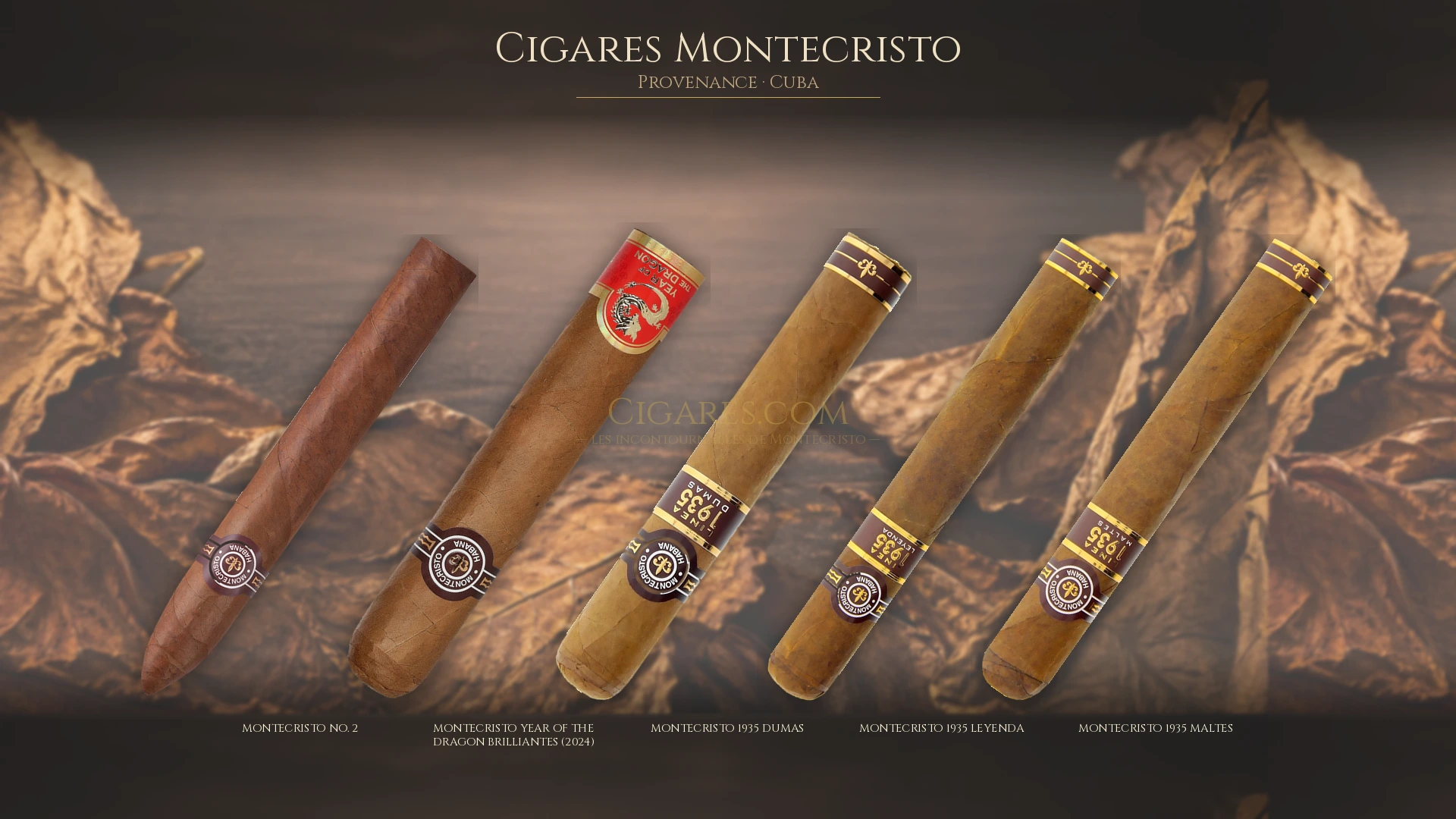 Top cigares Montecristo Cuba — les plus populaires