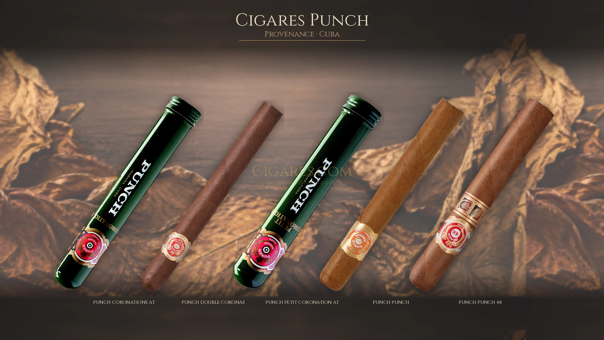 Top cigares Punch Cuba — les plus populaires