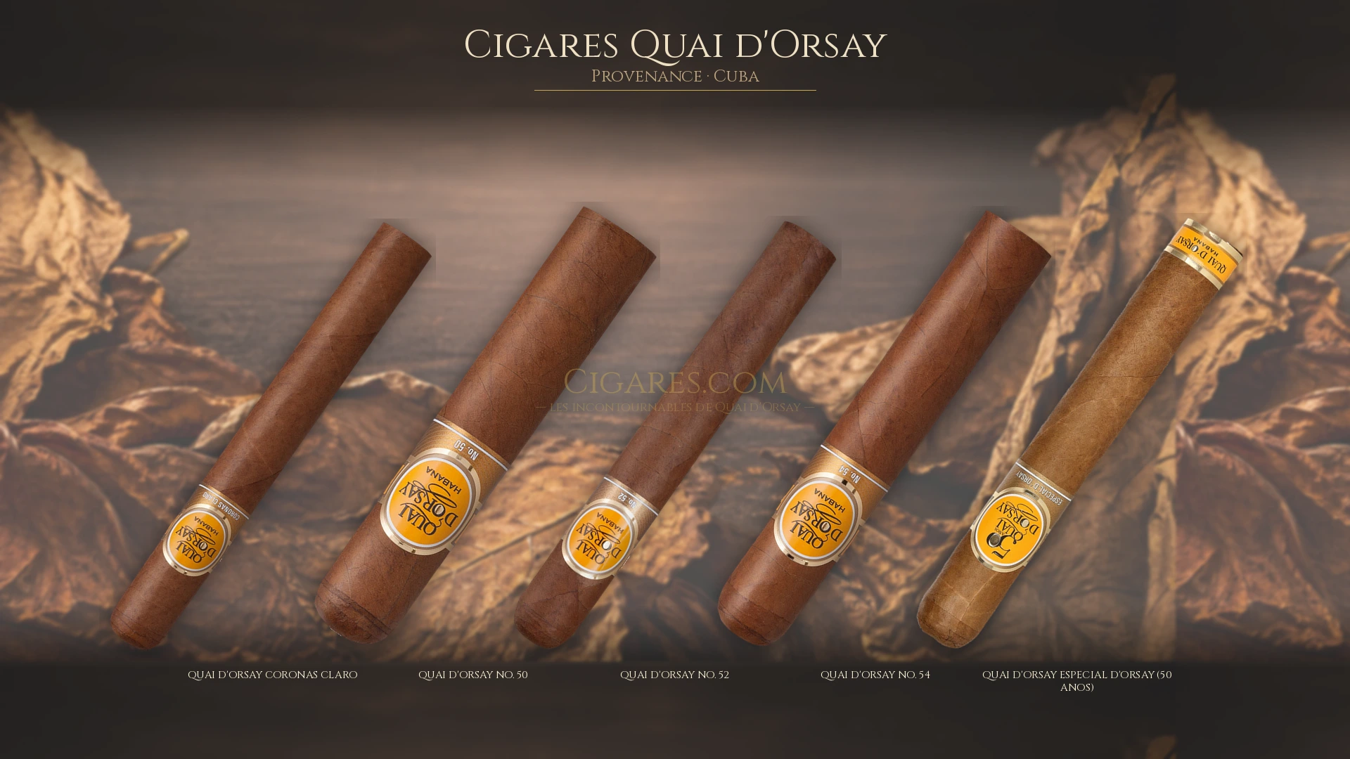 Top cigares Quai d'Orsay Cuba — les plus populaires