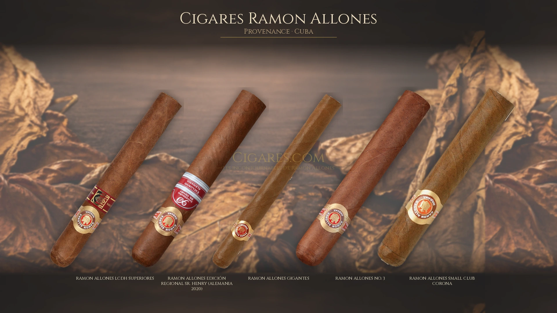 Top cigares Ramon Allones Cuba — les plus populaires