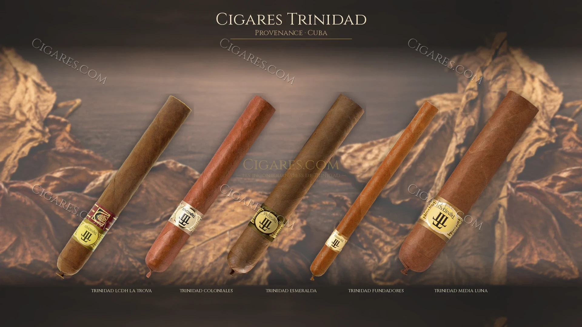 Top cigares Trinidad Cuba — les plus populaires